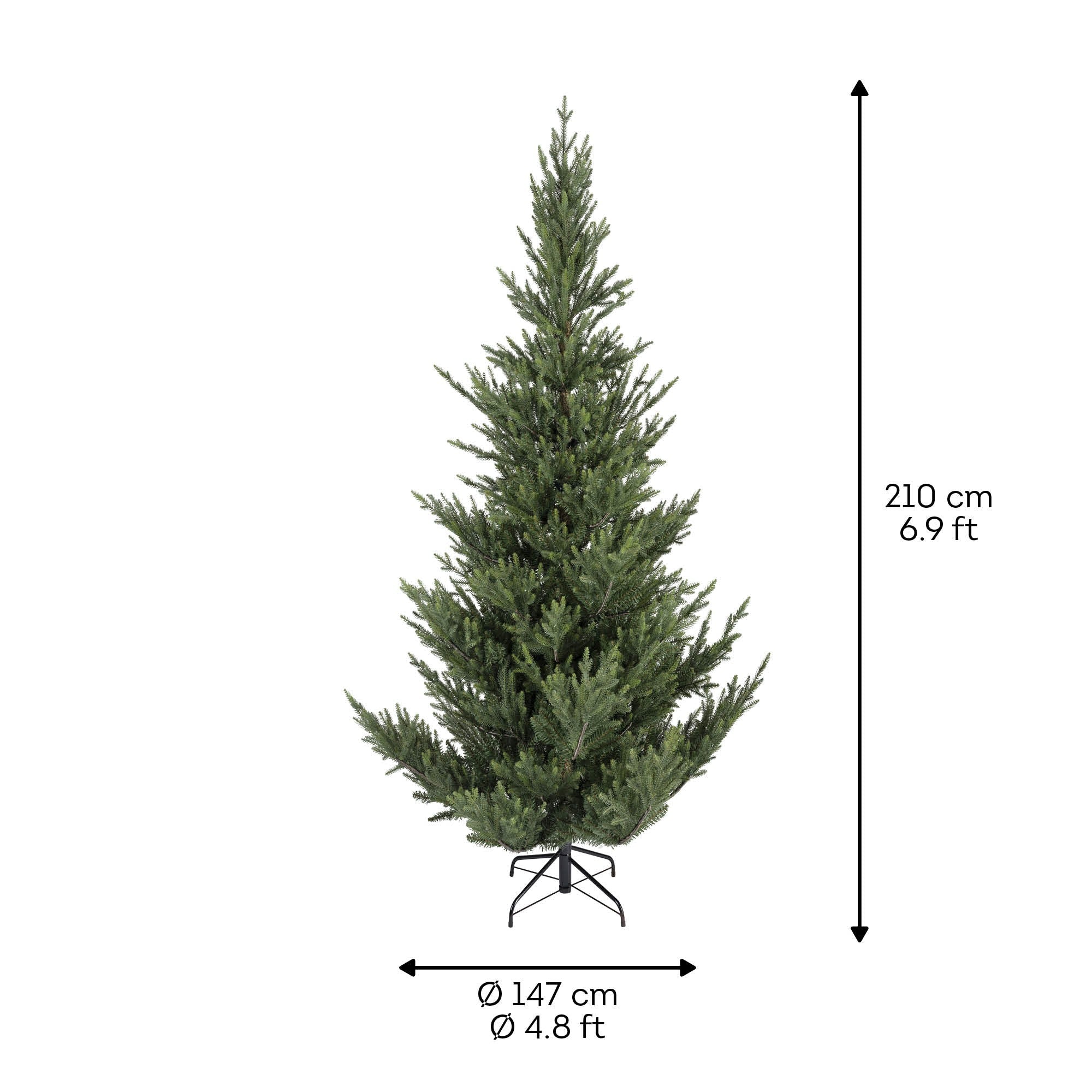 Premium Norway Tanne – 210 cm - Amiras Zauber
