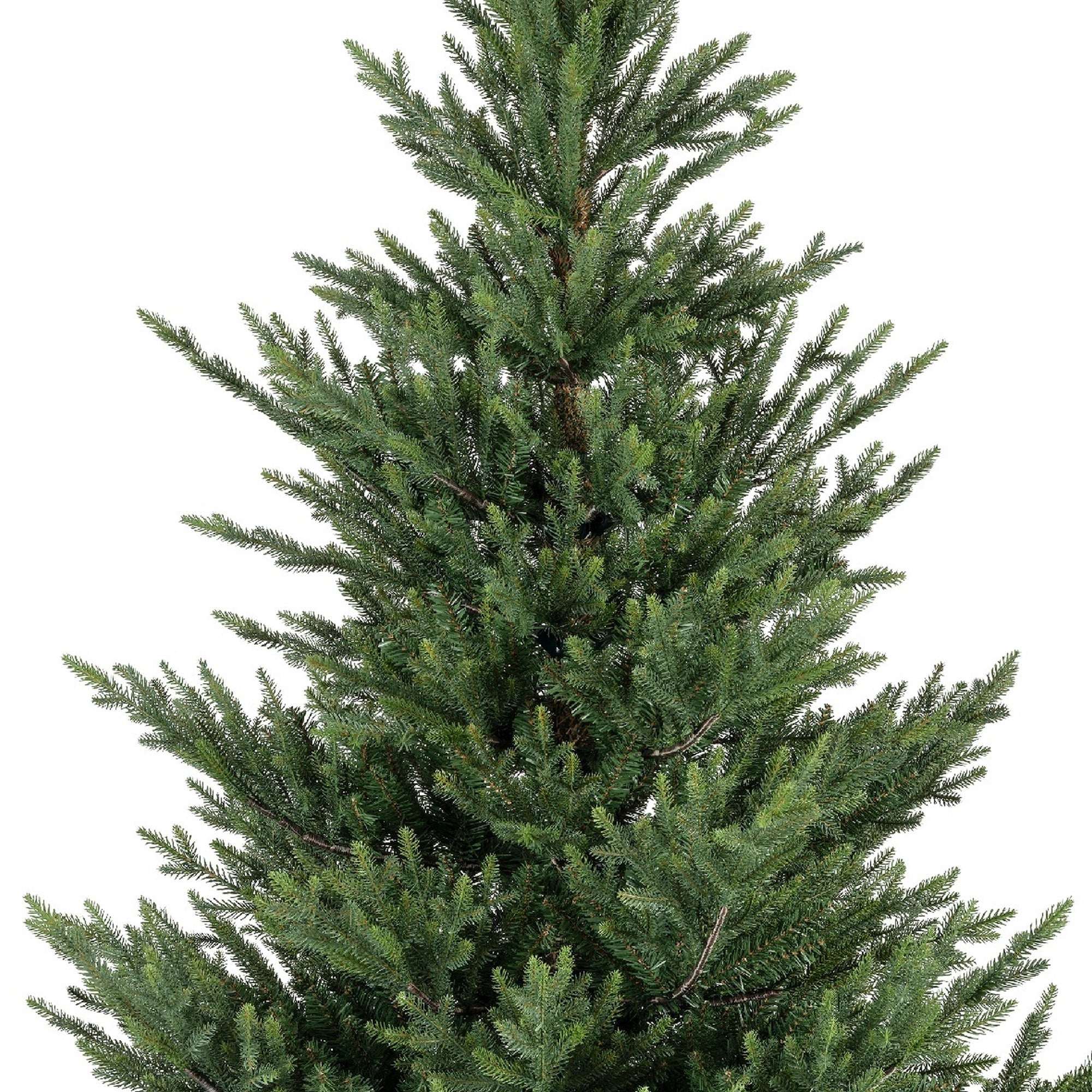 Premium Norway Tanne – 210 cm - Amiras Zauber