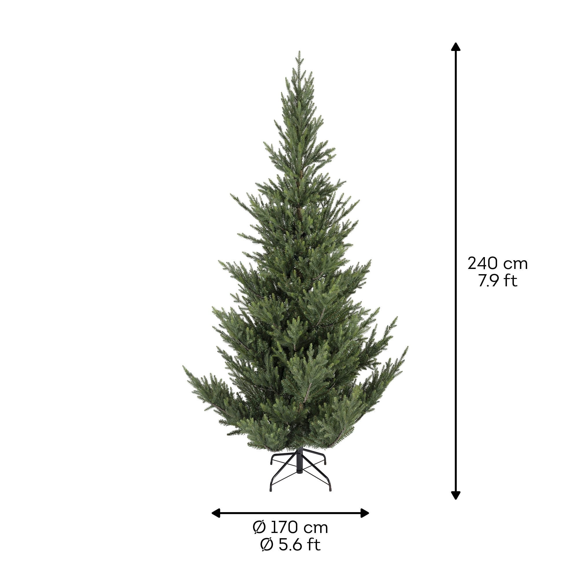 Premium Norway Tanne – 240 cm - Amiras Zauber