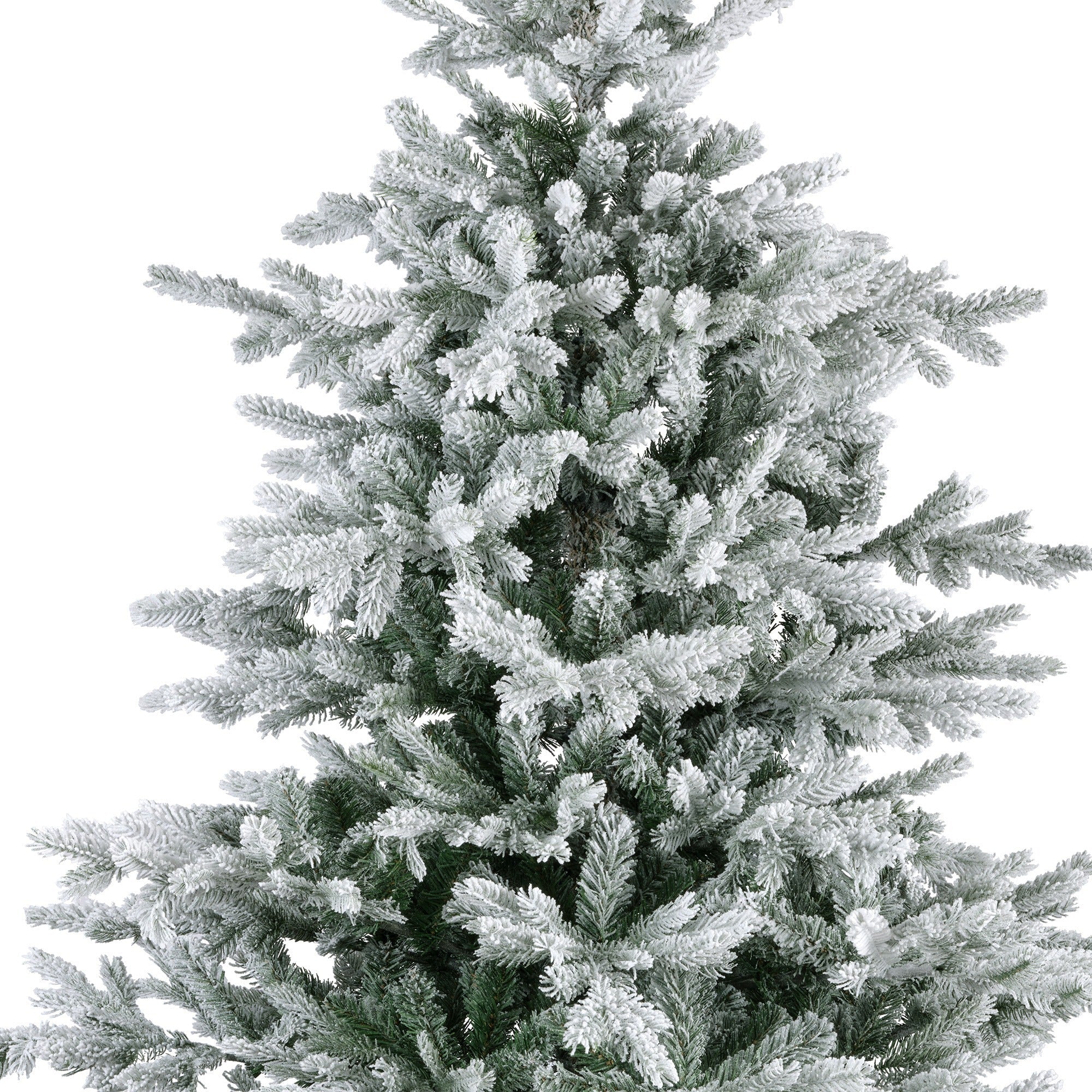 Premium Tanne "Grandis Fir" verschneit – 240 cm - Amiras Zauber