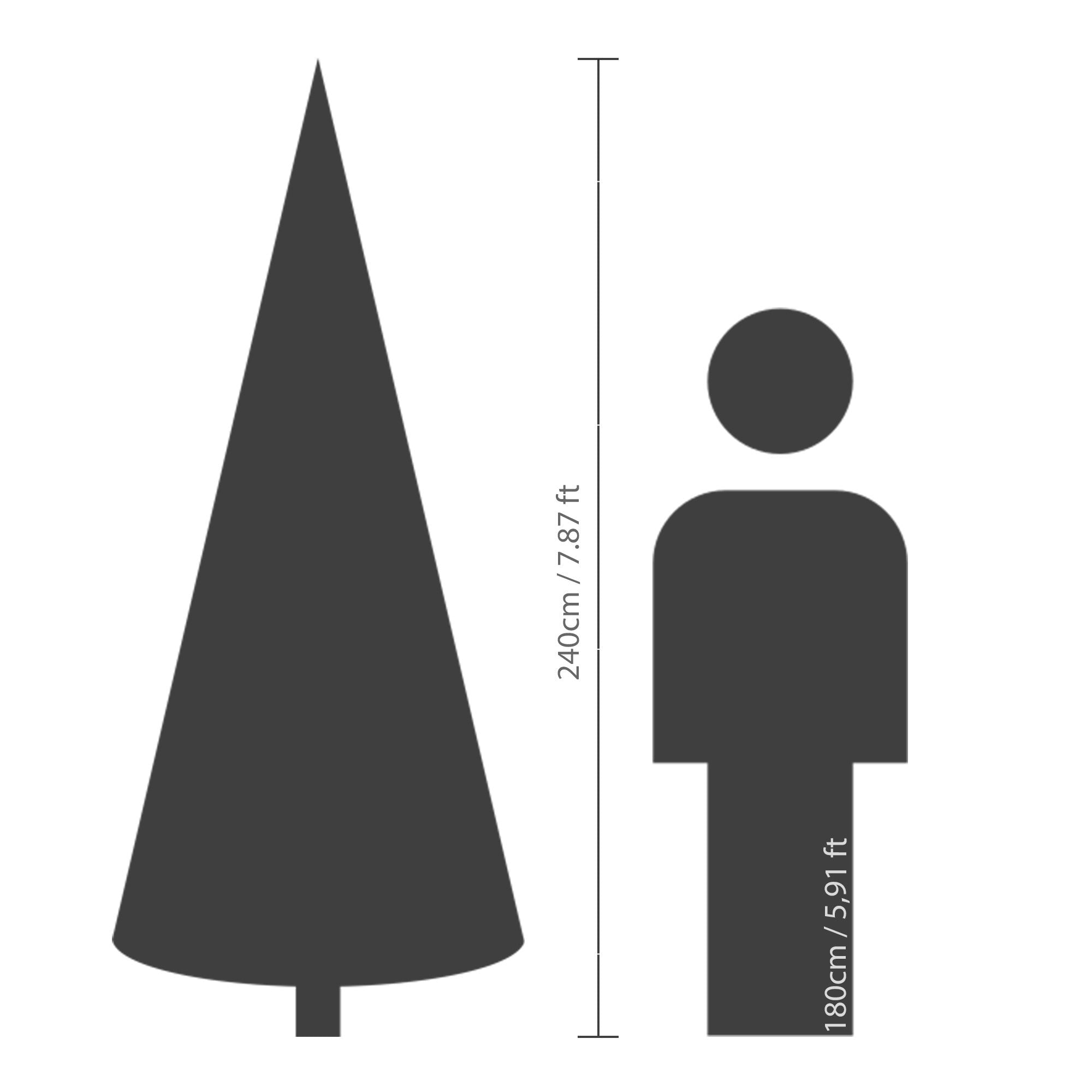 Premium Tanne "Grandis Fir" verschneit – 240 cm - Amiras Zauber