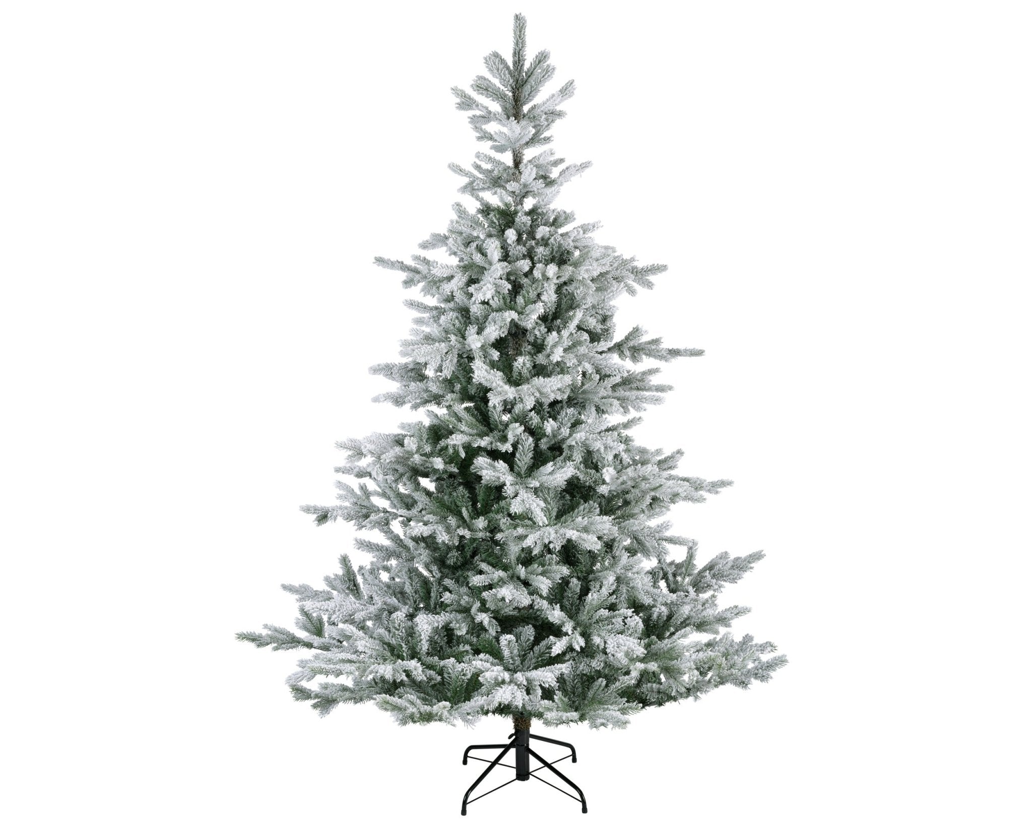 Premium Tanne "Grandis Fir" verschneit – 240 cm - Amiras Zauber