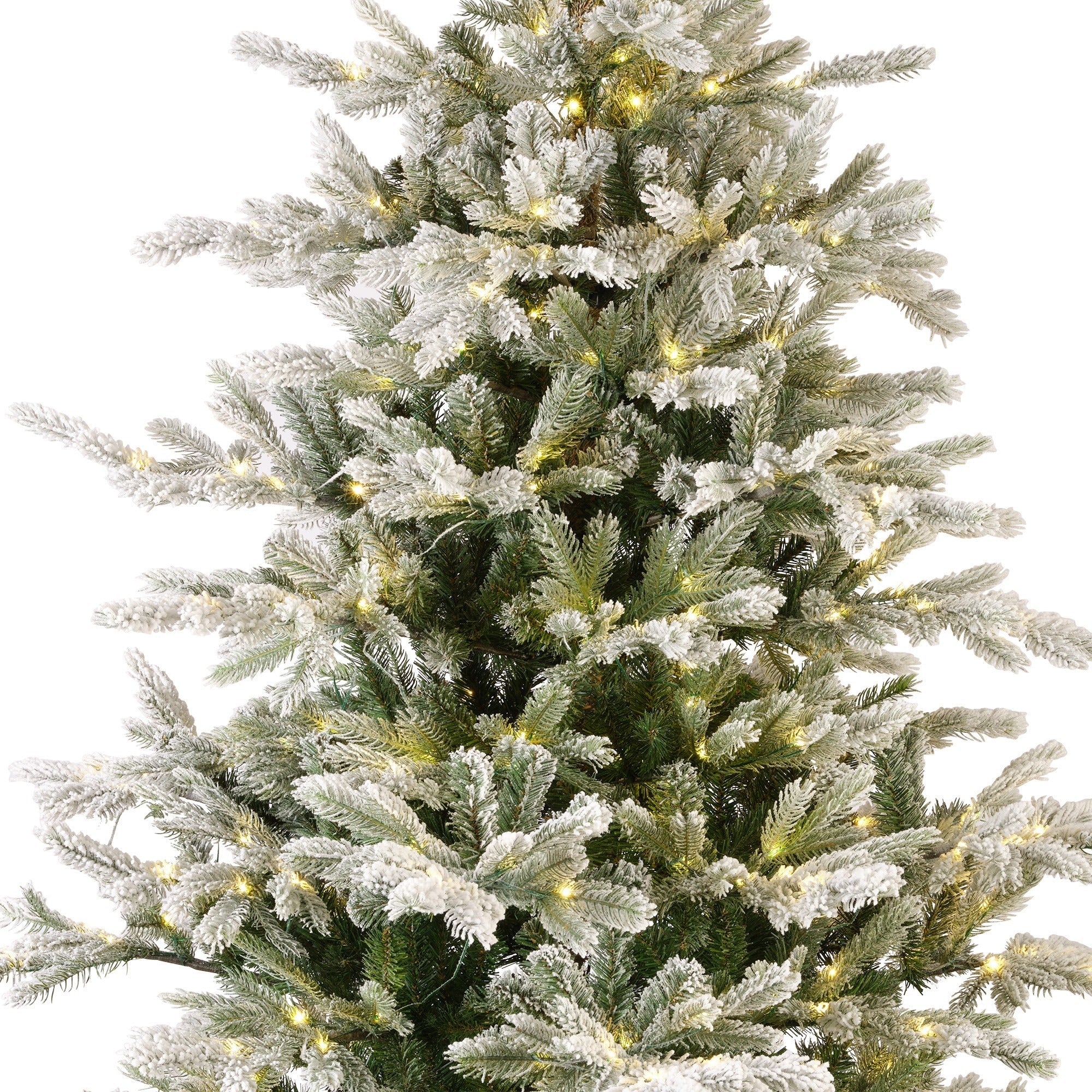 Premium Tanne "Grandis Fir" verschneit mit warmweißer Beleuchtung – 240 cm - Amiras Zauber