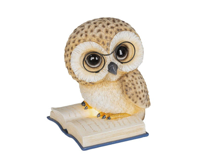LED Deko Eule (18cm x 21,5cm x 24,5cm) - Amiras Zauber
