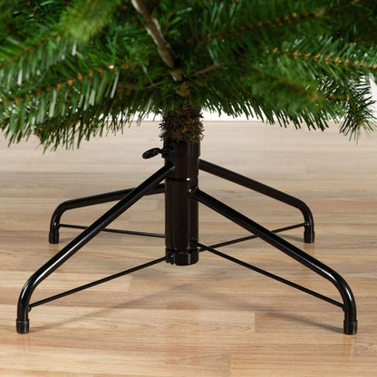 Premium Nordmann Tanne – 180 cm - Amiras Zauber