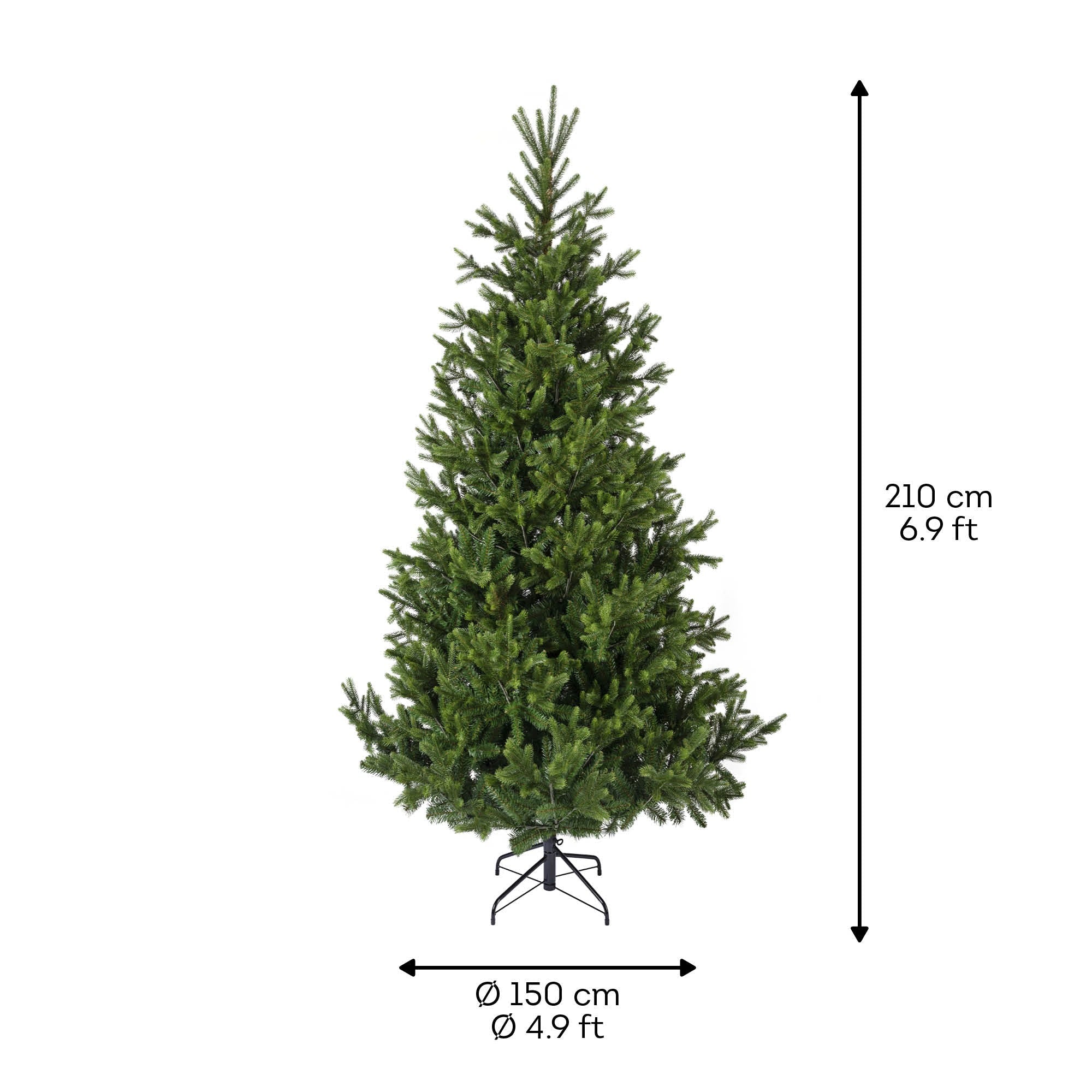 Premium Nordmann Tanne – 210 cm - Amiras Zauber