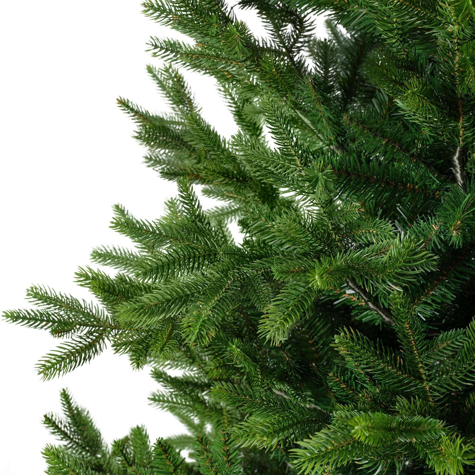 Premium Nordmann Tanne – 210 cm - Amiras Zauber