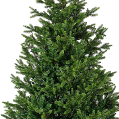 Premium Nordmann Tanne – 210 cm - Amiras Zauber