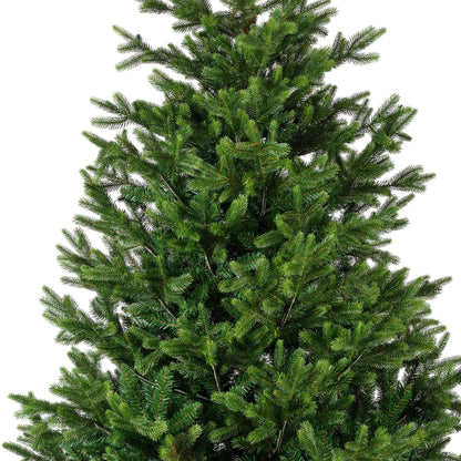 Premium Nordmann Tanne – 240 cm - Amiras Zauber
