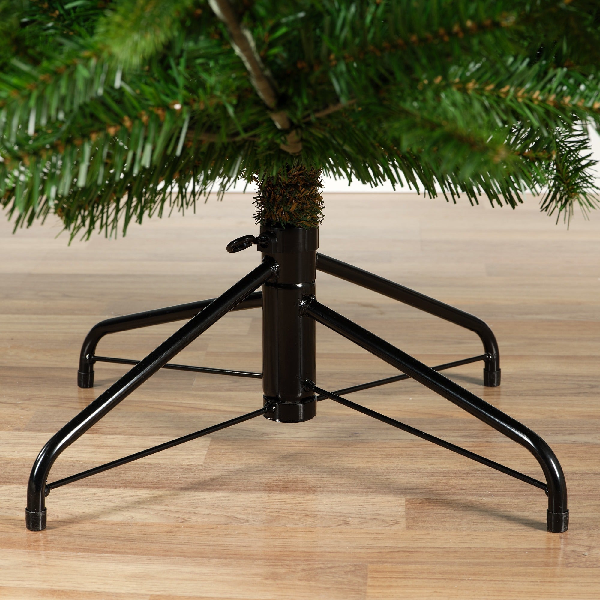 Premium Nordmann Tanne – 240 cm - Amiras Zauber