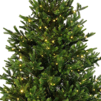 Premium Nordmann Tanne mit warmweißer Beleuchtung – 180 cm - Amiras Zauber