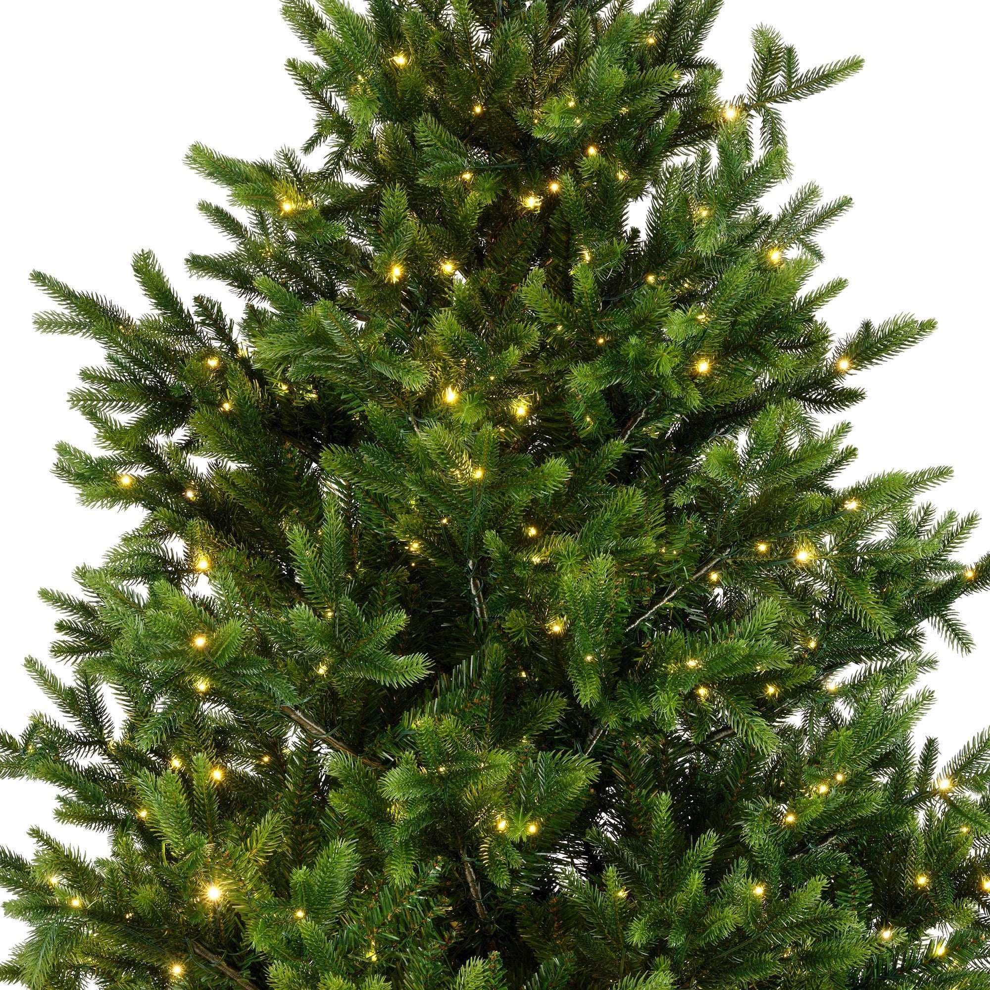Premium Nordmann Tanne mit warmweißer Beleuchtung – 210 cm - Amiras Zauber