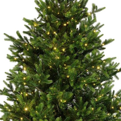 Premium Nordmann Tanne mit warmweißer Beleuchtung – 240 cm - Amiras Zauber
