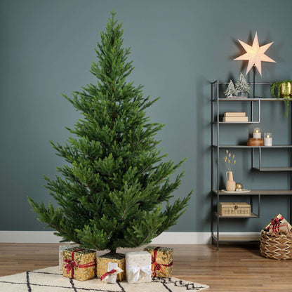 Premium Norway Tanne – 180 cm - Amiras Zauber