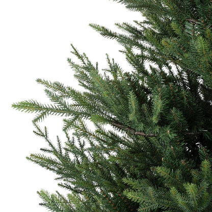 Premium Norway Tanne – 180 cm - Amiras Zauber