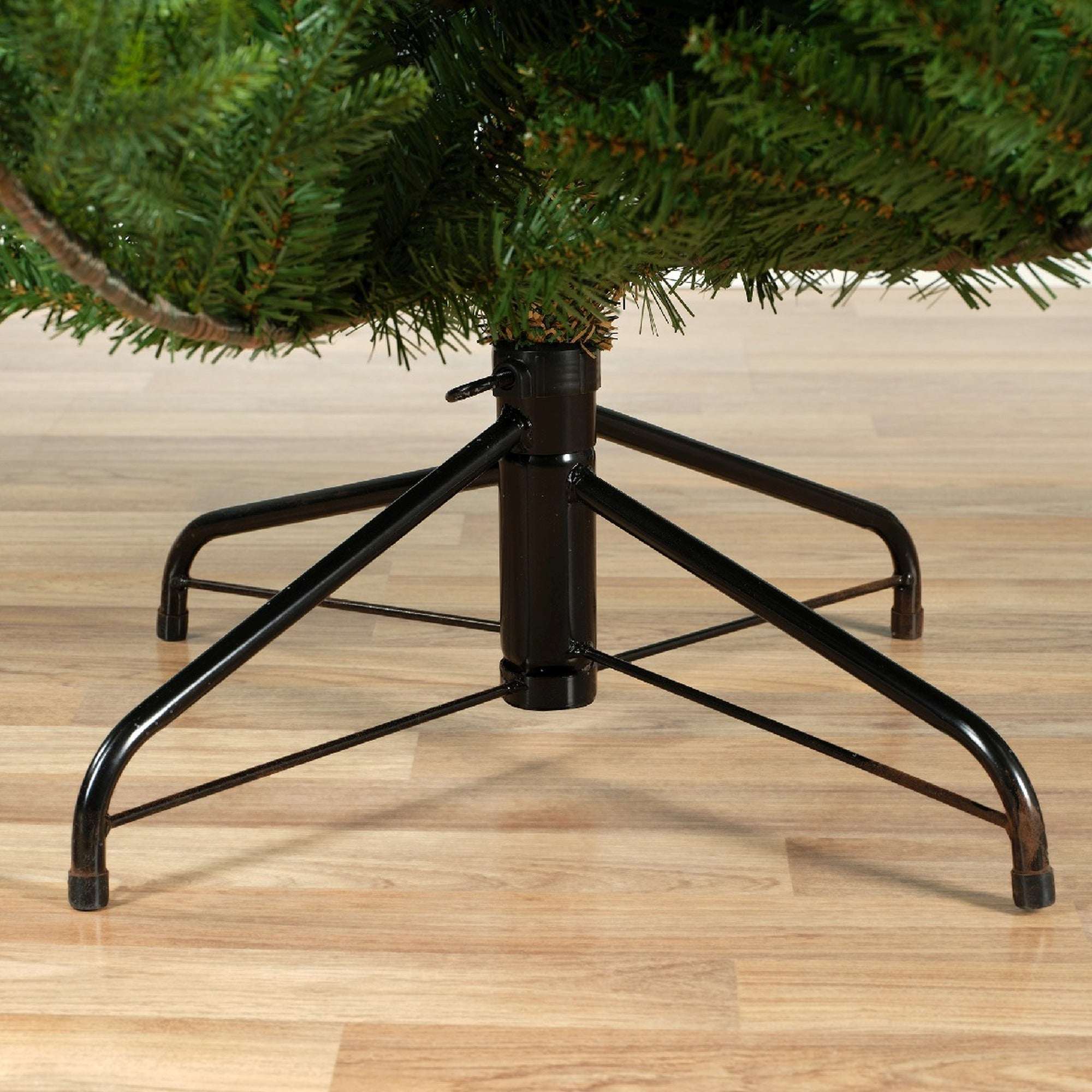 Premium Norway Tanne – 240 cm - Amiras Zauber