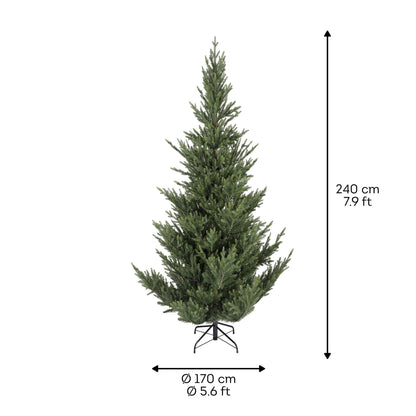 Premium Norway Tanne – 240 cm - Amiras Zauber
