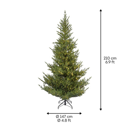 Premium Norway Tanne mit warmweißer Beleuchtung – 210 cm - Amiras Zauber