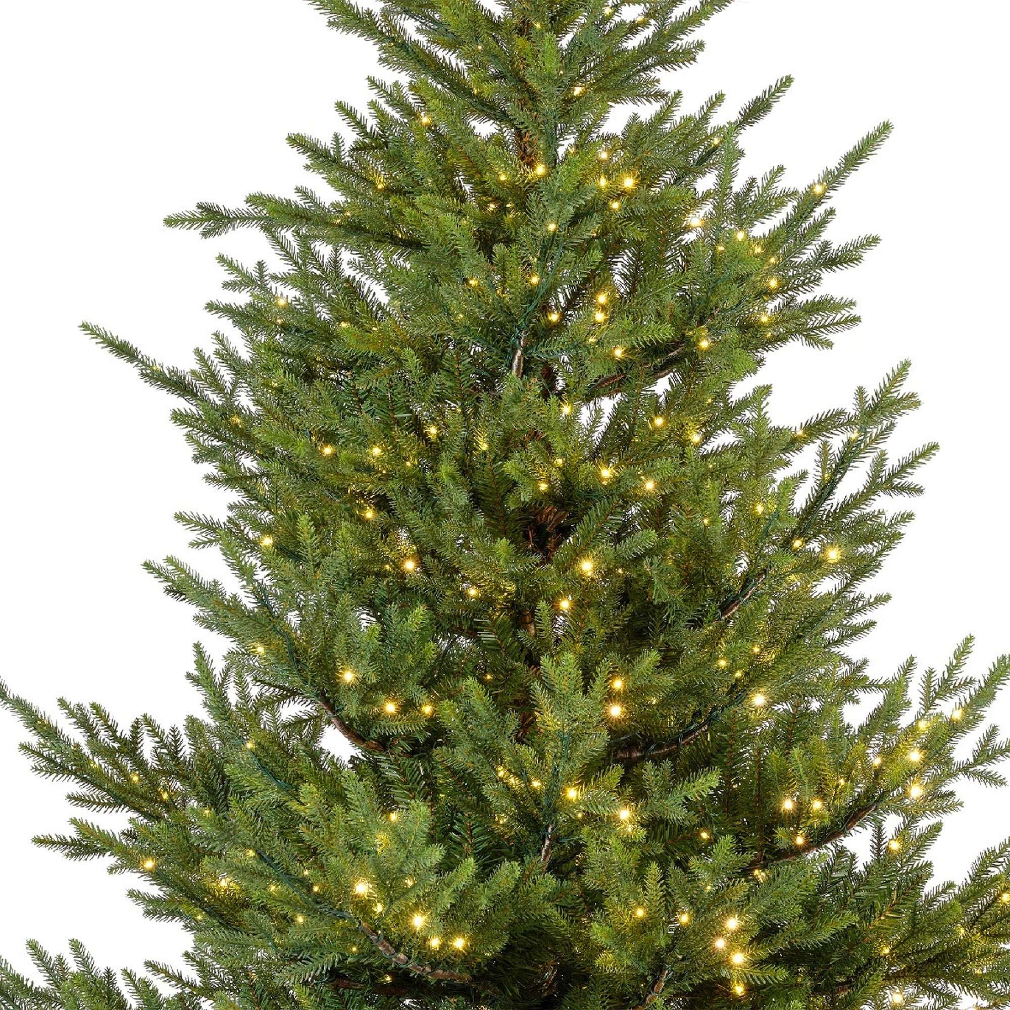 Premium Norway Tanne mit warmweißer Beleuchtung – 210 cm - Amiras Zauber