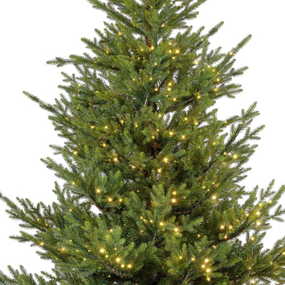 Premium Norway Tanne mit warmweißer Beleuchtung – 210 cm - Amiras Zauber