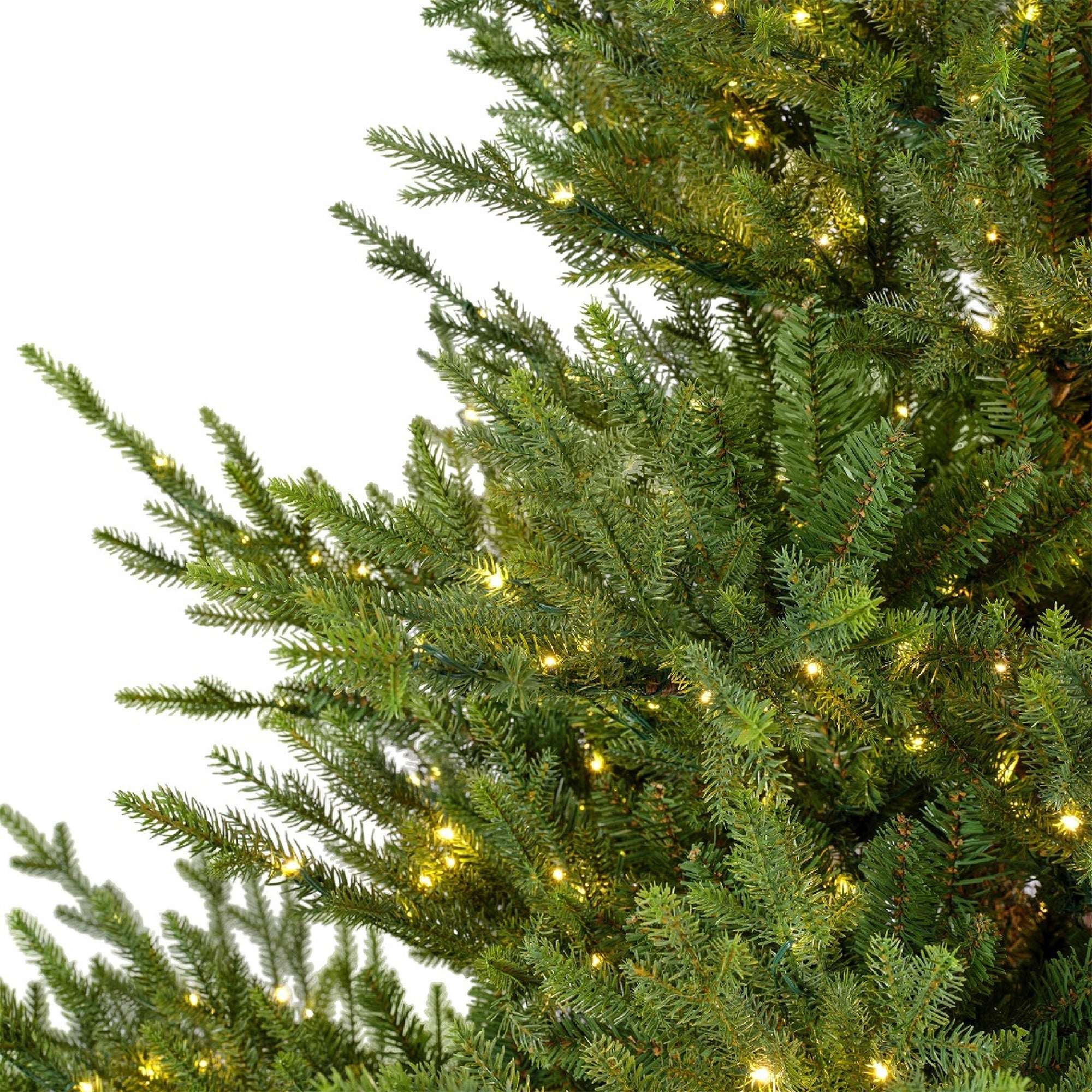Premium Norway Tanne mit warmweißer Beleuchtung – 240 cm - Amiras Zauber