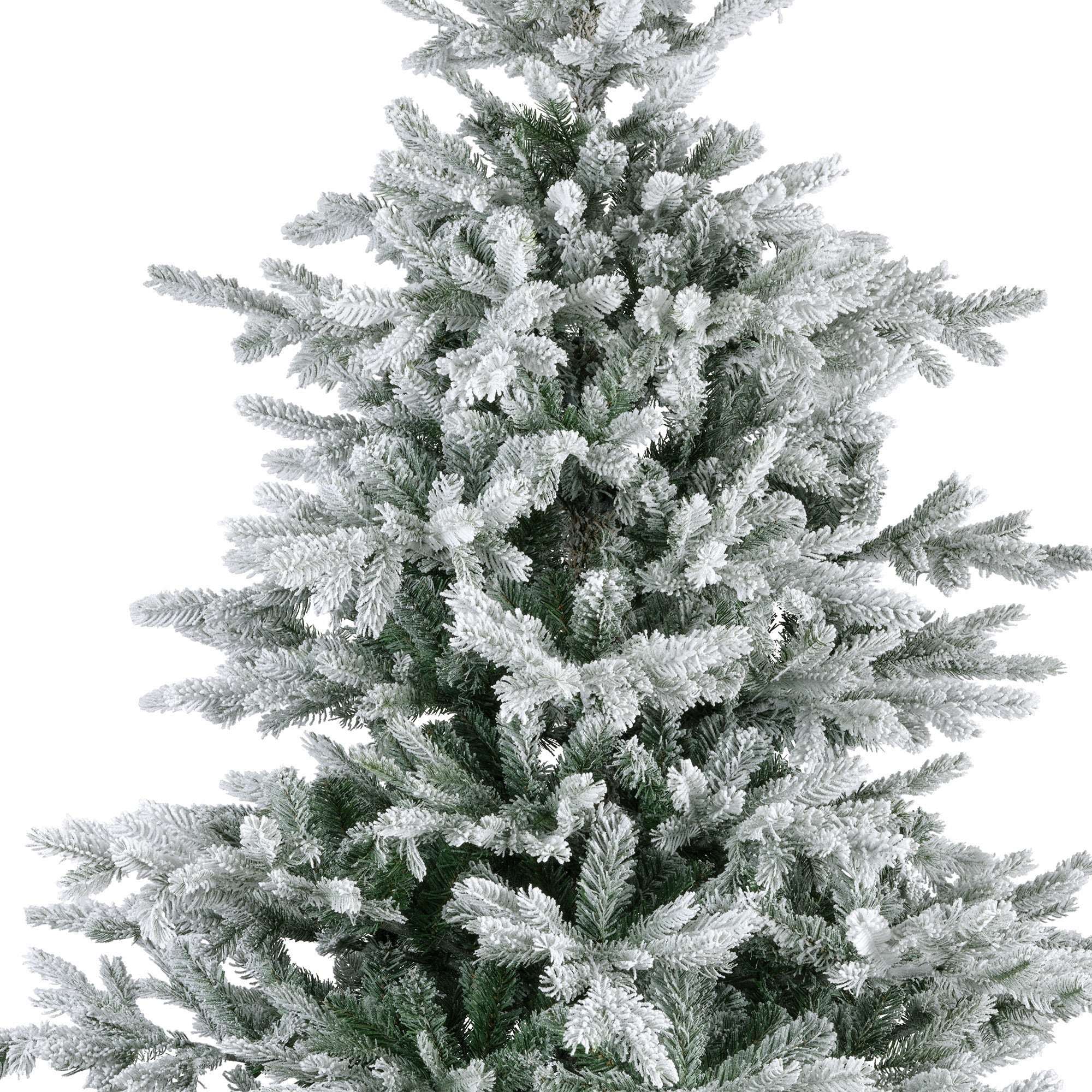 Premium Tanne "Grandis Fir" verschneit – 180 cm - Amiras Zauber