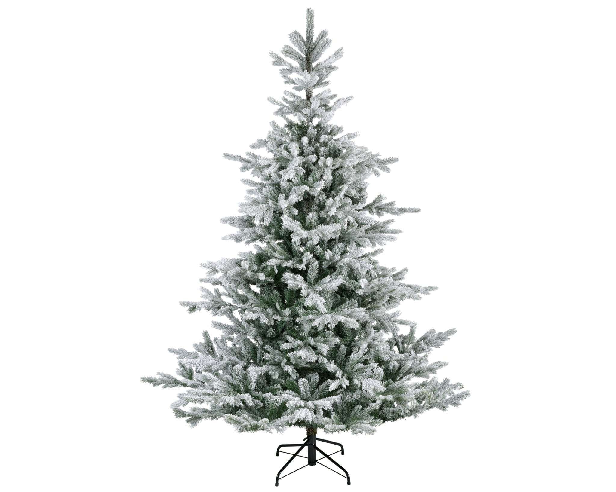 Premium Tanne "Grandis Fir" verschneit – 180 cm - Amiras Zauber