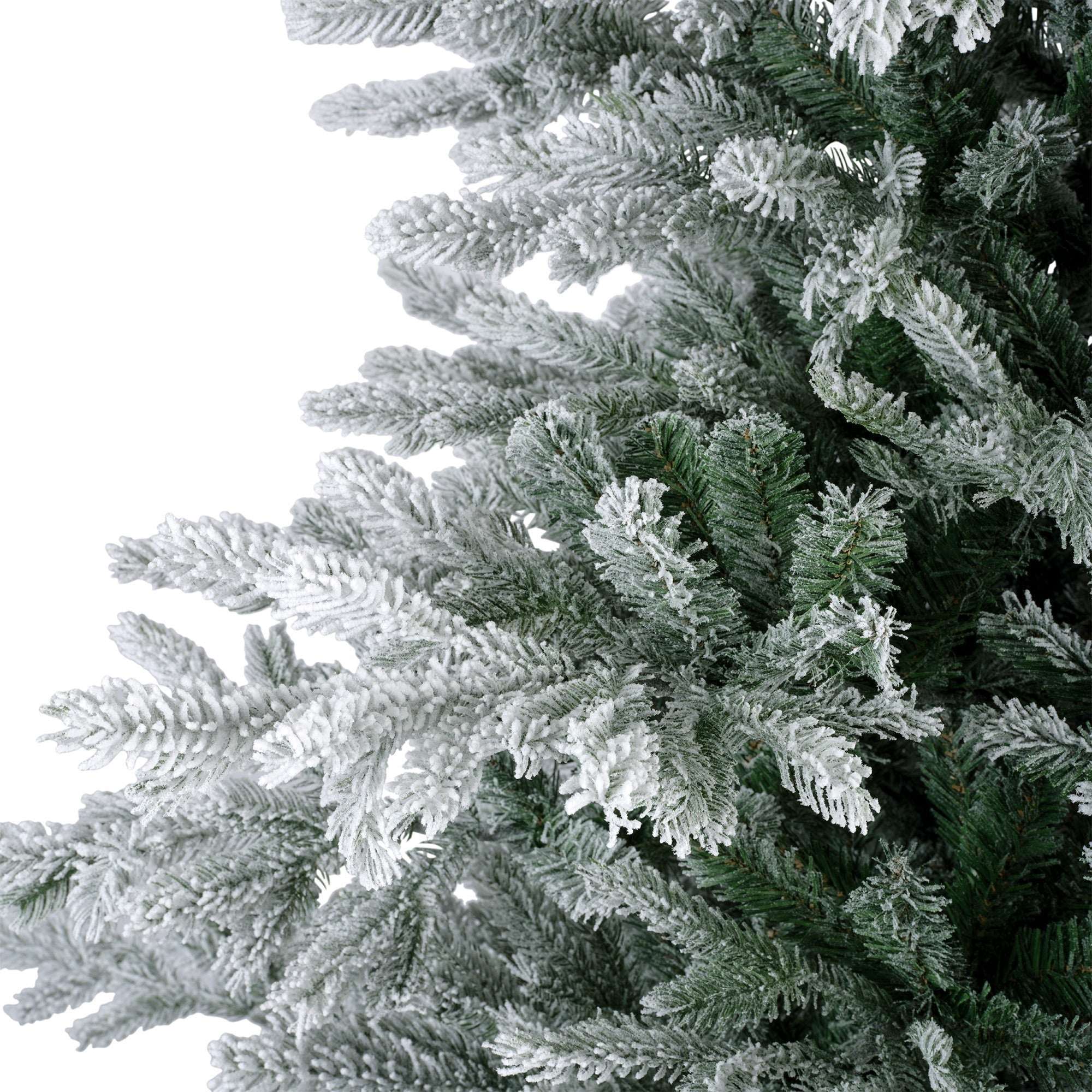 Premium Tanne "Grandis Fir" verschneit – 180 cm - Amiras Zauber