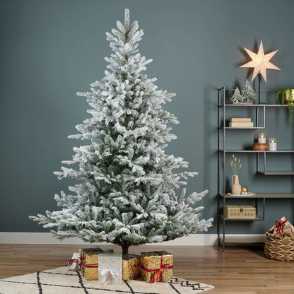 Premium Tanne "Grandis Fir" verschneit – 180 cm - Amiras Zauber