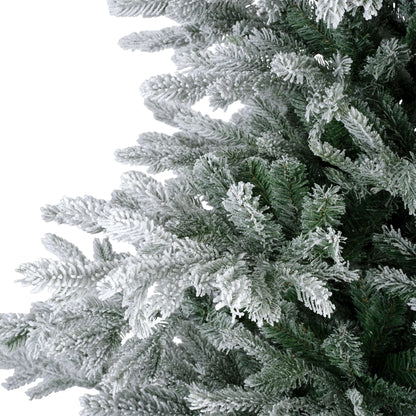 Premium Tanne "Grandis Fir" verschneit – 240 cm - Amiras Zauber
