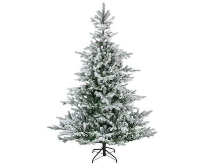 Premium Tanne "Grandis Fir" verschneit – 240 cm - Amiras Zauber
