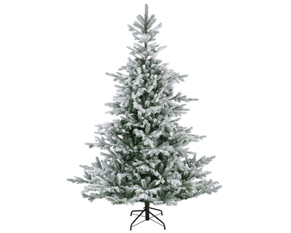 Premium Tanne "Grandis Fir" verschneit – 240 cm - Amiras Zauber