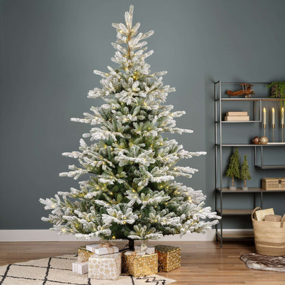 Premium Tanne "Grandis Fir" verschneit mit warmweißer Beleuchtung – 240 cm - Amiras Zauber