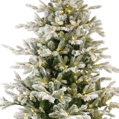Premium Tanne "Grandis Fir" verschneit mit warmweißer Beleuchtung – 240 cm - Amiras Zauber
