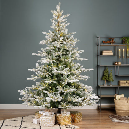 [KI] Premium Tanne "Grandis Fir" verschneit mit warmweißer Beleuchtung – 240 cm - Amiras Zauber
